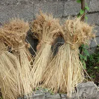 پیچ برای بستن برنج