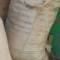بار کبوتر