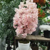 درخت شکوفه وارداتی ،جشنواره عیدانه 25%