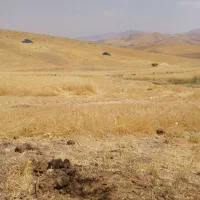 زمین-مسکونی