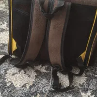 کیف حمل پرنده وسگ