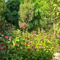 اجاره-سه-خواب-زاگرس-7-املاک-زارعی