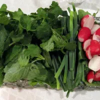سبزی تازه و تمیز