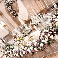 دیجی خانم حرفه ای سیستم صوت نور مراسم عروسی