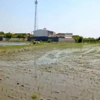 فروش-1100-متر-زمین-مفت