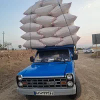 کاه گندم دیم لرستان