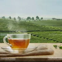 چای  سرگل شکسته اعلا ایرانی