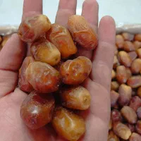 خرما زاهدی لوکس و معمولی امسالی درجه یک