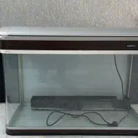 اکواریوم ماهیران