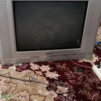 تلوزیون