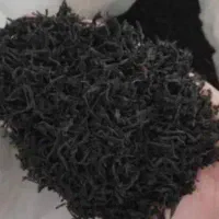 چای قلم لیزری بهاره لاهیجان