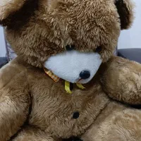 خرس اسباب بازی بزرگ