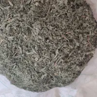 کشک|حراج|اندیمشک, |دیوار