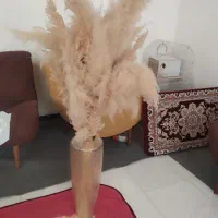 گلدان