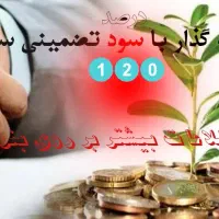 جذب سرمایه گذار با سود تضمینی سالیانه 120 درصد