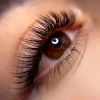 تخفیف ویژه برای اموزش و تمام خدمات مژه و ابرو