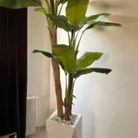 درختچه مصنوعی وارداتی به قیمت عمده