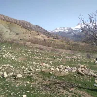 زمین-مناسب-باغ