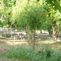 تورگردشگری
