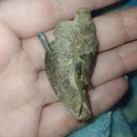 سرکتاب . دعا