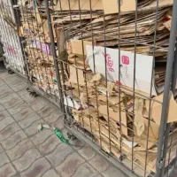 کارتن سبد
