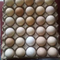تخم مرغ لاری
