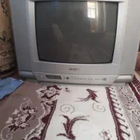 تلویزیون