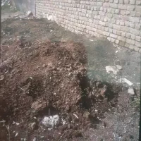 کود دامی