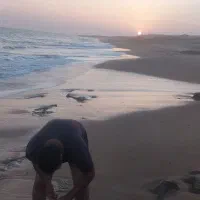 شنا