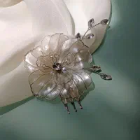 اکسسوری مو شونه و سنجاق شینیون
