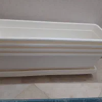 گلدان|گل و گیاه طبیعی|بروجرد, |دیوار