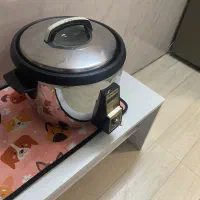 پلوپز ناسیونال اصل ژاپن قدیمی
