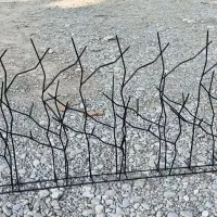 حفاظ روی دیوار شاخ گورنی