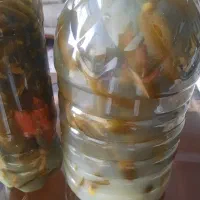 خیار شور درجه یک بطری کوچک خیلی ریز ۲۰۰