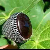 حراج عقیق کرزی شرط یمن