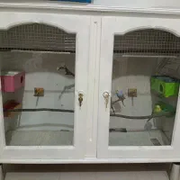 قفس بزرگ