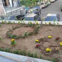 خدمات باغبانی تهرانپارس پاسداران نارمک پیروزی