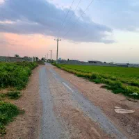 قطعات ویلایی خوش قواره ، مسیر آسفالت