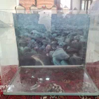 آکواریوم K650