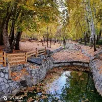 یار تمرینی