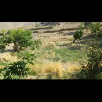 باغچه ۶۰۰ متر مربع در دل روستای زیبای هزاوه