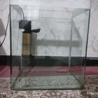 آکواریوم ماهی