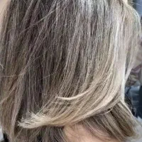 رنگ و لایت تخصصی