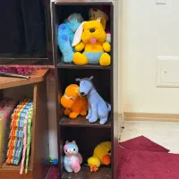 فروش تعدادی شلف و کمد چوبی