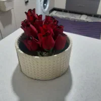 باکس به همراه گل روز