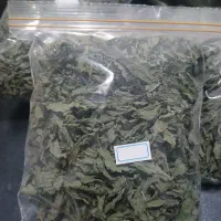 نعناع خشک سبز