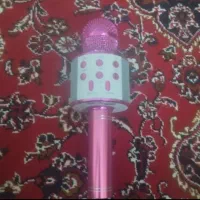 اسپیکر میکروفونی