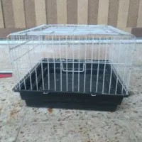 قفس