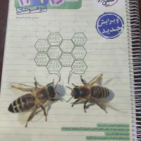 کتاب کمک درسی علوم،ریاضی،فارسی،مطالعاتنهم تیزهوشان