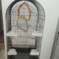 قفس بزرگ